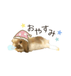うさぎのふわり（個別スタンプ：12）