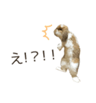 うさぎのふわり（個別スタンプ：19）