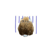 うさぎのふわり（個別スタンプ：22）