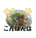 アフウシ4（個別スタンプ：2）