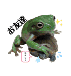 アフウシ4（個別スタンプ：26）
