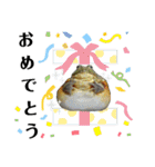 アフウシ4（個別スタンプ：40）