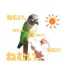 オカメインコとウロコインコ2（個別スタンプ：2）