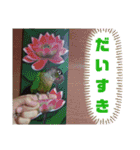 オカメインコとウロコインコ2（個別スタンプ：8）