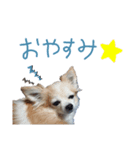 鈴木家の家宝スタンプ（個別スタンプ：7）