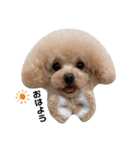 らいむみんと。（個別スタンプ：1）