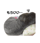 らいむみんと。（個別スタンプ：7）