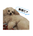 らいむみんと。（個別スタンプ：10）