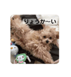 らいむみんと。（個別スタンプ：11）