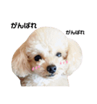 らいむみんと。（個別スタンプ：19）