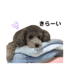 らいむみんと。（個別スタンプ：26）