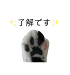 パルム1（個別スタンプ：6）
