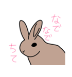うさぎのらっちゃん（個別スタンプ：1）
