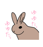 うさぎのらっちゃん（個別スタンプ：2）