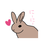うさぎのらっちゃん（個別スタンプ：6）