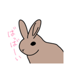 うさぎのらっちゃん（個別スタンプ：7）
