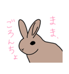 うさぎのらっちゃん（個別スタンプ：8）