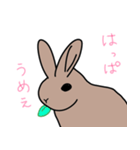 うさぎのらっちゃん（個別スタンプ：14）