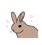 うさぎのらっちゃん（個別スタンプ：15）