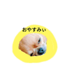 Lily(リリー)スタンプ（個別スタンプ：3）