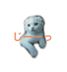 ちびレモン（個別スタンプ：4）