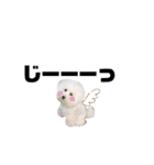 Abbey stamp（個別スタンプ：1）