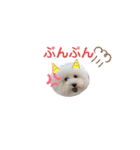 Abbey stamp（個別スタンプ：4）