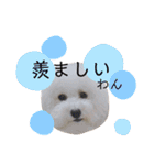Abbey stamp（個別スタンプ：7）