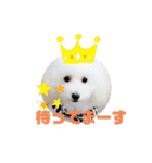 Abbey stamp（個別スタンプ：9）