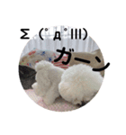 Abbey stamp（個別スタンプ：11）
