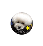 Abbey stamp（個別スタンプ：16）