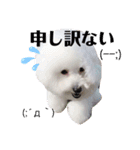 Abbey stamp（個別スタンプ：20）