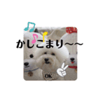 Abbey stamp（個別スタンプ：23）