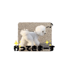 Abbey stamp（個別スタンプ：25）