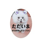 Abbey stamp（個別スタンプ：26）
