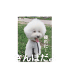 Abbey stamp（個別スタンプ：29）