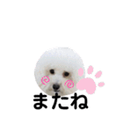 Abbey stamp（個別スタンプ：32）