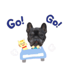 看板犬ぽんず（個別スタンプ：29）