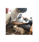 路好（個別スタンプ：1）