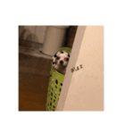 路好（個別スタンプ：2）