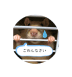ゆずスタンプショップ（個別スタンプ：2）