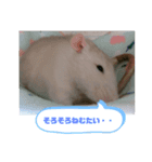 ゆずスタンプショップ（個別スタンプ：3）