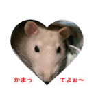 ゆずスタンプショップ（個別スタンプ：8）