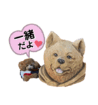 トイプードル むく助⑤（個別スタンプ：29）
