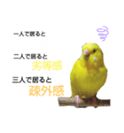 インコのMAXくん5（個別スタンプ：6）