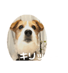 ミキヲです。（個別スタンプ：1）