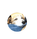 ミキヲです。（個別スタンプ：5）