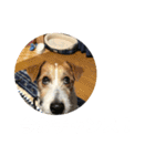 ミキヲです。（個別スタンプ：6）