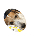 ミキヲです。（個別スタンプ：7）