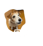 ミキヲです。（個別スタンプ：11）